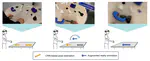 Visual Guidance for Assembly Processes